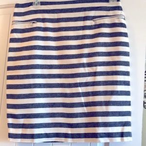 Ann Taylor Skirt